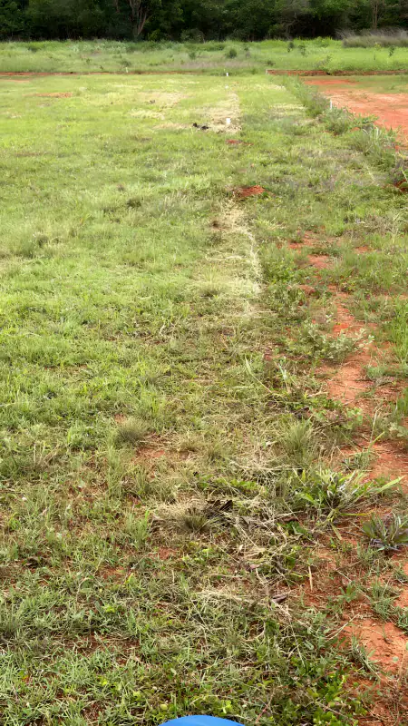 Foto real da demarcação dos lotes no terreno